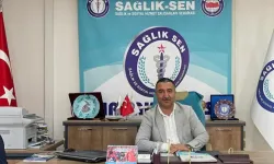 Sağlık-Sen Şırnak Şube Başkanlığı, çalıştay sonuç raporunu açıkladı