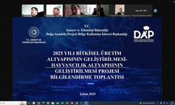 2025 yılı DAP destekli projeler  masaya yatırıldı