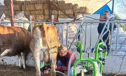 Hatay Büyükşehir Belediyesi’nden hayvan üreticisine süt sağma makinesi desteği