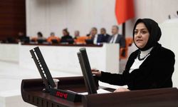 Milletvekili Ün: "TÜBİTAK’ın reddettiği projeler yurt dışında ödüllendiriliyor"