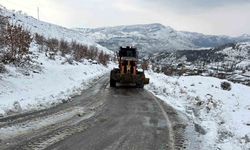 Siirt’te kar nedeniyle kapanan yollar ulaşıma açıldı