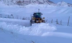 Siirt’te kar yağışı nedeniyle kapanan tüm yollar açıldı