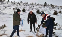 Sivas’ta yaban hayatı unutulmadı, 12 ton yem doğaya bırakıldı