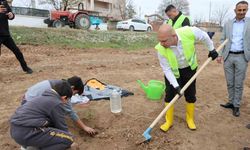 Başkan Önal öğrencilerle fidan dikti