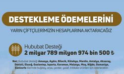 Çiftçilere hububat destek ödemesi yapılacak