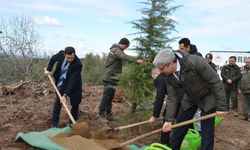 Denetimli serbestlik yükümlüleri fidan dikti