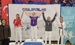 Erzincanlı sporcular güreşte ikinci, taekwondoda üçüncü oldu