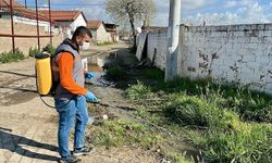 Germencik’te ilaçlama çalışmaları sürüyor