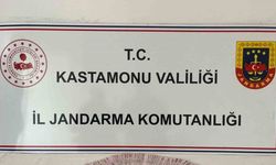 Jandarmadan uyuşturucu operasyonu: 2 tutuklama