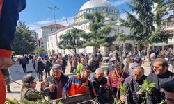 Kocaali’de vatandaşlara ücretsiz meyve fidanı dağıtıldı