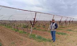 Manisalı çiftçiler don ve dolu riskine karşı tedbir almaya başladı