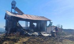 Mersin’de yayla evi yandı