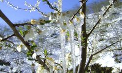 Muğla 19 Mart’tan 24 Mart’a kadar buz tutacak