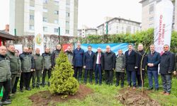 Ordu’da fidanlar toprakla buluşturuldu