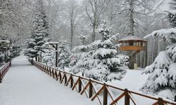 Ordu’nun 17 ilçesinde eğitime kar engeli