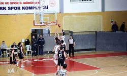 Sakarya Büyükşehir Basket sezona Play-Off’ta veda etti