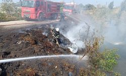 Samandağ’da kamışlık alanda yangın çıktı