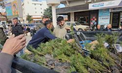 Sındırgı’da Ormancılık haftası için fidan dağıtıldı