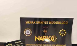 Şırnak’ta narkotik, asayiş, kaçakçılık ve terör operasyonlarında 42 şüpheliye işlem yapıldı