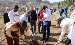 Üniversite öğrencileriyle birlikte fidan dikti