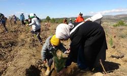 Uşak’ta 3 bin 200 adet fidan toprakla buluştu