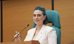 Sinem Dedetaş'tan AKP'li meclis üyesine sert yanıt: "Bu devlet kimsenin malı değil!"