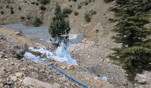 Borudan sızan suyla çam ağacı buzdan ağaca döndü