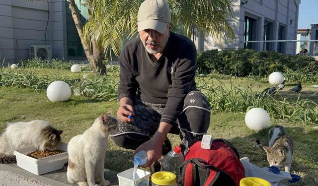 Çadırda yaşadığı günlerden etkilendi, günde 8 kilometre yol katederek 100’den fazla kedi besliyor