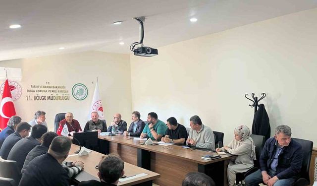 Samsun’da sahipsiz hayvanların toplanması görüşüldü