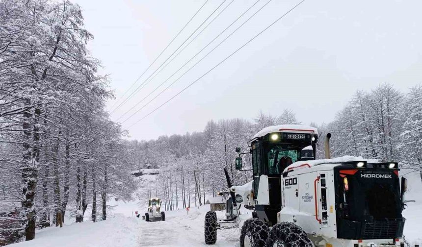 Ordu’da kardan kapanan 465 mahalle yolundan 342’si ulaşıma açıldı